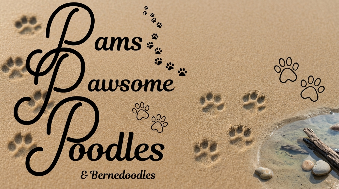 pamspawsomepoodles